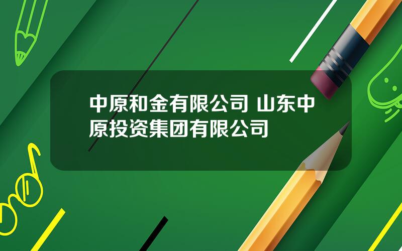 中原和金有限公司 山东中原投资集团有限公司